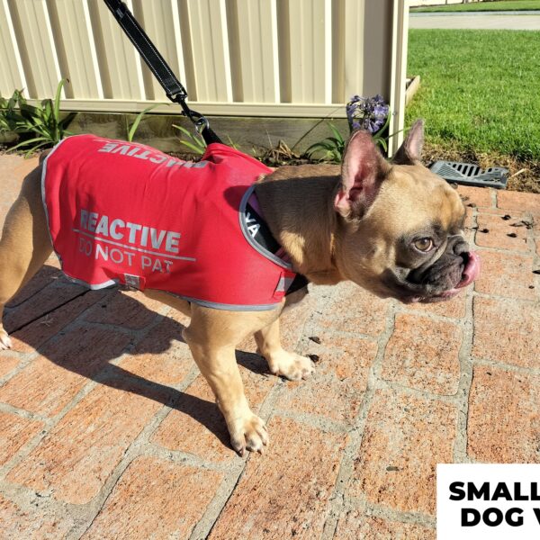 'REACTIVE' - Red Dog Vest (Small & Medium)
