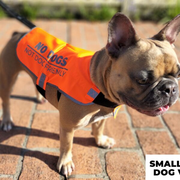 'NO DOGS' - Orange Dog Vest (Small & Medium)