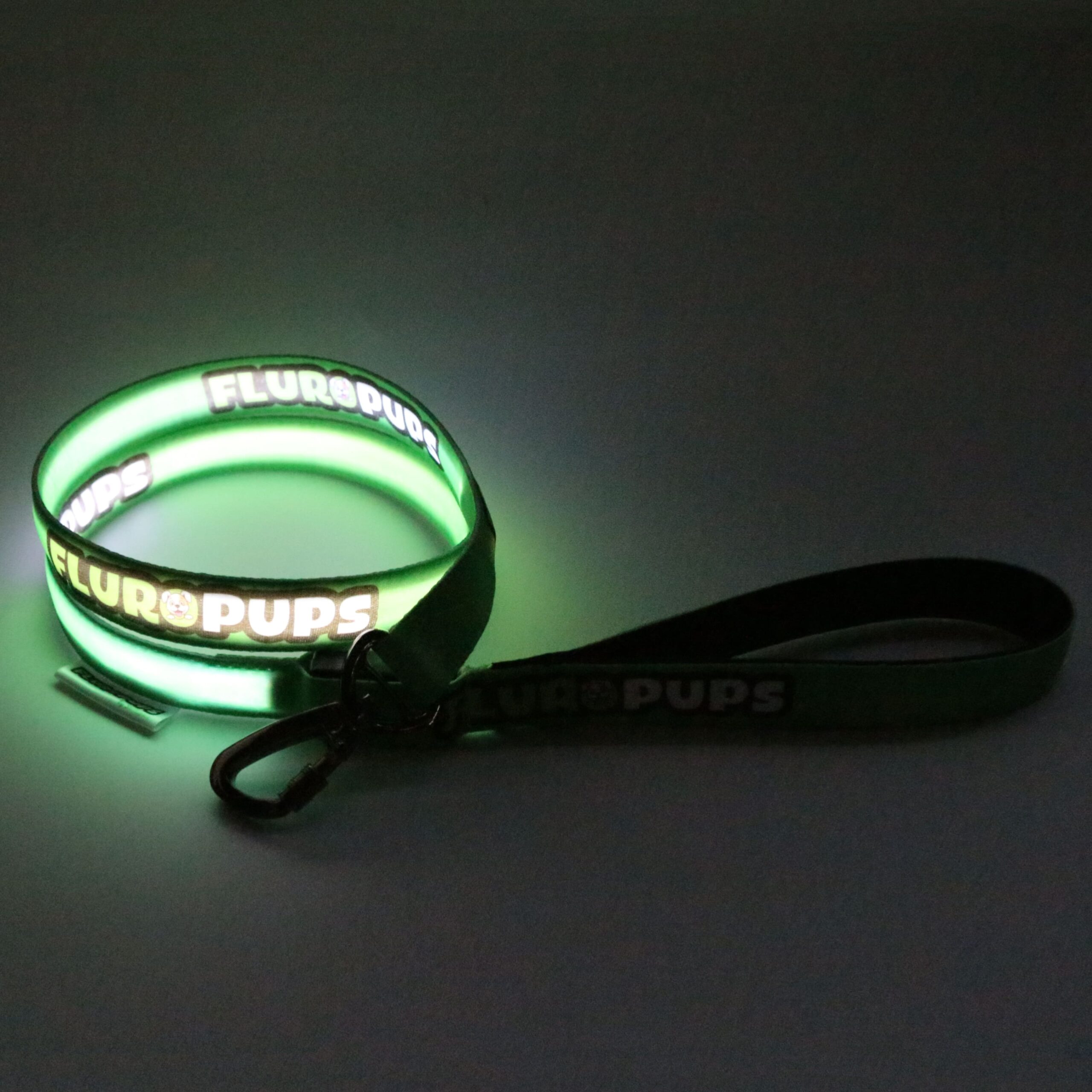 Led Leash